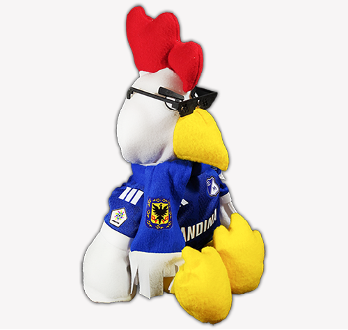 Teddies Futboleros