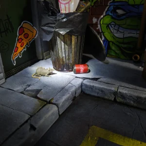 TMNT NYC 04