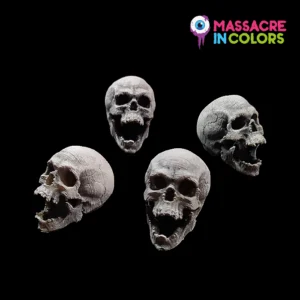 Cráneos Humanos – Escala 1/6 – x12 unidades